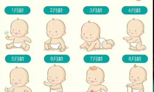 11个月婴儿营养食谱表、11个月宝宝营养餐单 -11个月婴儿营养食谱网