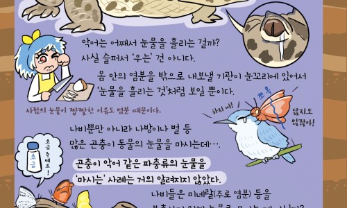 11个月宝宝营养餐单-11个月婴儿营养食谱表、11个月宝宝营养餐单 -11个月婴儿营养食谱网